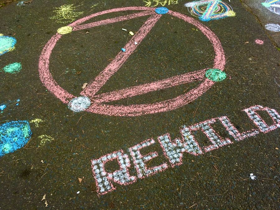 Example: 'Rewild' in chalk